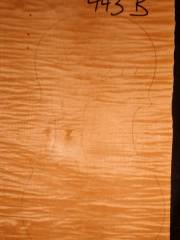 Tonewood Violin   443b  2012  € 70,-- SOLD