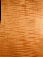 Tonewood - violin - 480 - back - 2017 - € 110,--