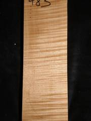 Tonewood - violin - 483 - back - 2018 - € 95,--