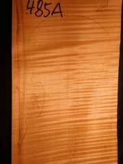 Tonewood - violin - 485A - back - 2018 - € 110,--
