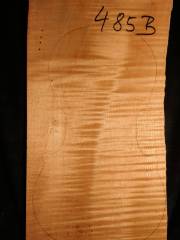 Tonewood - violin - 485B - back - 2018 - € 110,--