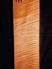 Tonewood - violin - 491 - back - 2020 - € 120,--
