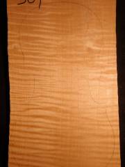 Tonewood - violin - 309 - back - 2007 - € 80,--