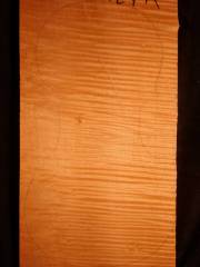 Tonewood - violin - 427A - back - 2010 - € 110,--