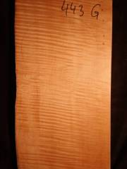 Tonewood - violin - 443G - back - 2015 - € 110,--