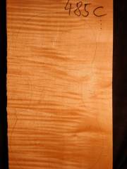 Tonewood - violin - 485C - back - 2018 - € 110,--