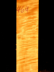 Tonewood - violin - 464 - back - 2017 - € 120,--