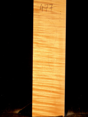 Tonewood - violin - 477 - back - 2018 - € 95,--