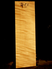 Tonewood - violin - 481 - back - 2017 - € 120,--