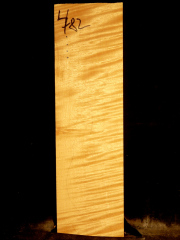 Tonewood - violin - 482 - back - 2017 - € 100,--