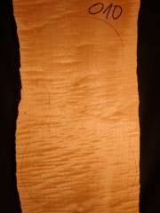 Tonewood -violinback - 010  2002 €70,-- SOLD
