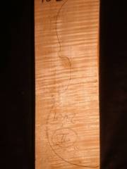 Tonewood - violin - 102 - back - 2001 - € 75,--