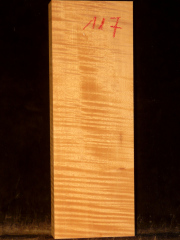 Tonewood - violin - 117 - back - 2005 - € 75,--