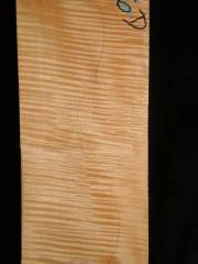 Tonewood - violinback - 206D  2003 € 120,--
