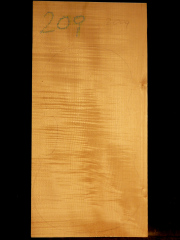 Tonewood - violin - 209 - back - 2004 - € 75,--