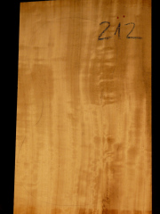 Tonewood - violin - 212 - back - 2005 - € 70,-- italian poplar