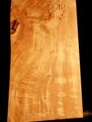 Tonewood - violin - 214 - back - 2005 - € 70,-- italian poplar