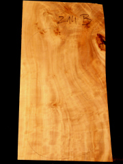 Tonewood - violin - 214B - back - 2005 - € 70,-- italian poplar