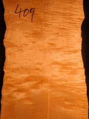 Tonewood - violin - 409 - back - 2007 - € 85,--