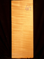 Tonewood - violin - 413 - back - 2008 - € 75,--