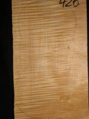 Tonewood - violin - 420 - back - 2010 - € 100,--