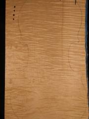 Tonewood - violin - 421 - back - 2011 - € 120,--