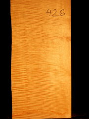 Tonewood - violin - 426 - back - 2011 - € 130,--