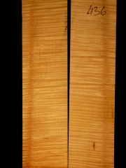 Tonewood Violin 436  2013    € 95,--