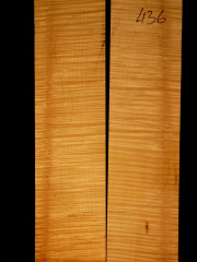Tonewood - violin - 436 - back - 2013 - € 120,--