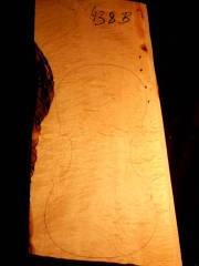 Tonewood - violin - 438B - back - 2013 - € 100,--