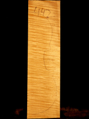 Tonewood - violin - 442 - back - 2014 - € 100,--