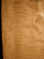 Tonewood - violin - 449A - back - 2014 - € 90,--