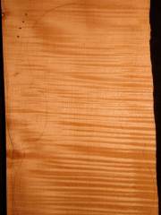 Tonewood - violin - 471 - back - 2018 - € 110,--