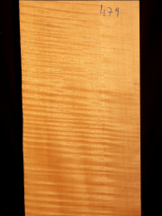 Tonewood - violin - 479 - back - 2017 - € 110,--