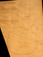 Tonewood - violin - 486 - back - 2020 - € 85,--