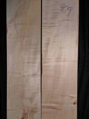 Tonewood-Violoncello 909  2009 € 240,--