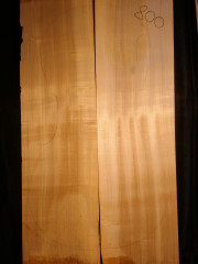 Tonewood-Violoncello 800 Pappel-Poplar 1985  € 250,--