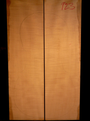 Tonewood-Violoncello 923  2013  € 300,--