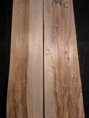 Tonewood-Violoncello 944C  2018 € 100,--  poplar