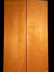 Tonewood-Violoncello 910  2010 € 140,--